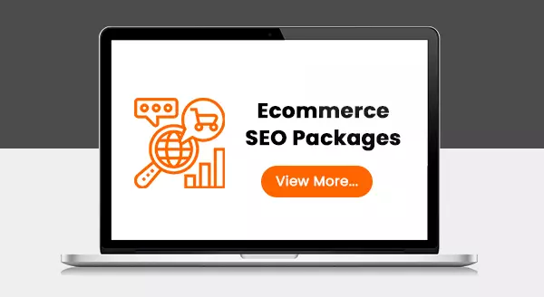 Ecommerce SEO Packages